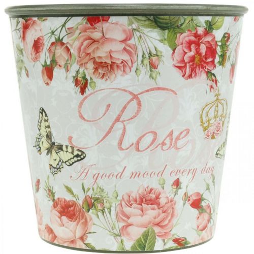 Artikel Plantekasse, spand til udplantning, plantekasse med rose H13cm Ø13,5cm