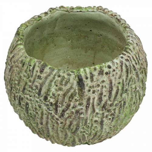 Artikel Plantekasse beton antik look grøn, brun plantekasse Ø13cm