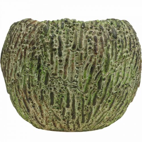 Artikel Plantekasse beton antik look grøn, brun plantekrukke rund Ø15,5cm