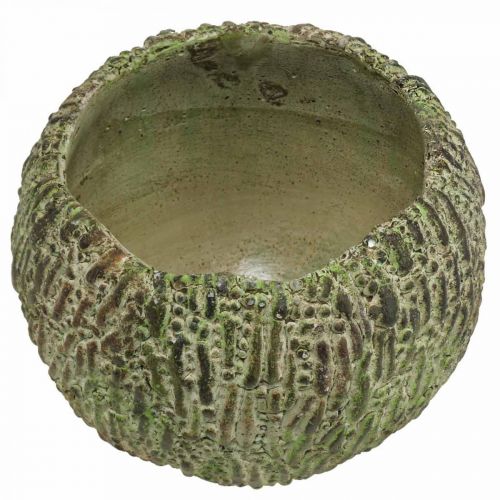 Artikel Plantekasse beton antik look grøn, brun plantekrukke rund Ø15,5cm