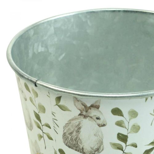 Floristik24 Bunny urtepotte påske metal cachepot Ø12cm H10,5cm