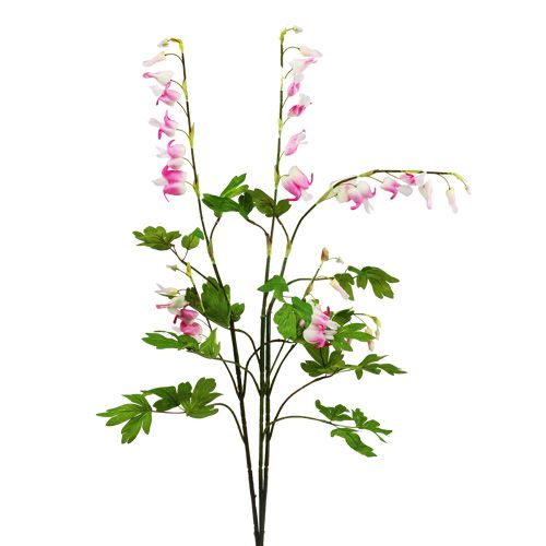 Floristik24 Blødende hjerte 91 cm lyserosa 3stk