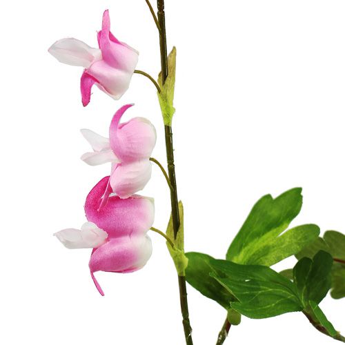 Floristik24 Blødende hjerte 91 cm lyserosa 3stk