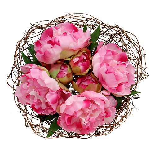 Floristik24 Tragt ærme vinstok Ø30cm natur 8stk