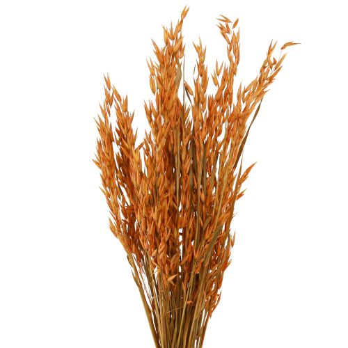 Artikel Dry Deco Oat Deco i Orange L64cm 70-75g 2stk
