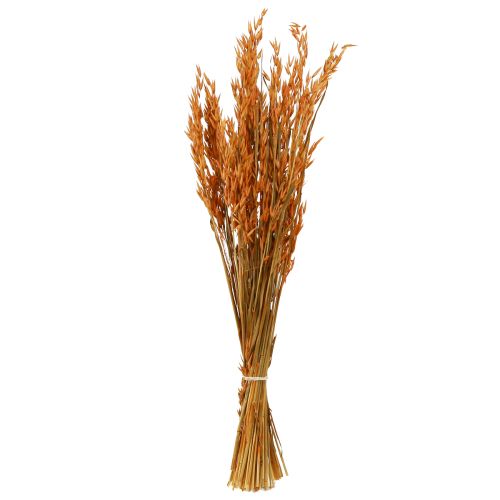 Artikel Dry Deco Oat Deco i Orange L64cm 70-75g 2stk