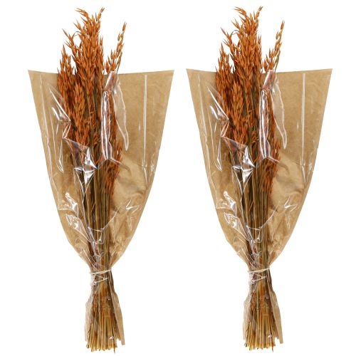 Artikel Dry Deco Oat Deco i Orange L64cm 70-75g 2stk