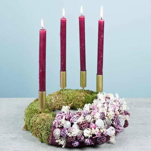 Floristik24 Tørrede blomster Broom Bloom Bleget 140g