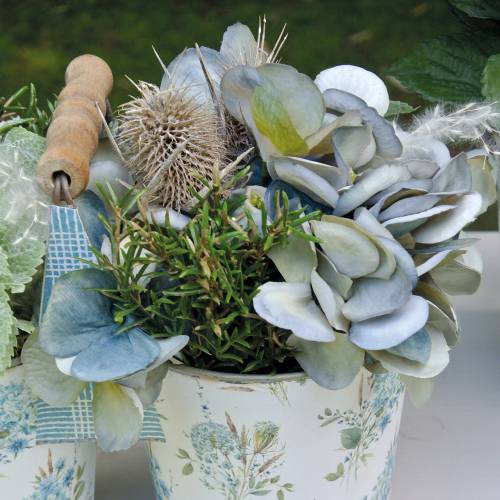 Floristik24 Tørrede blomster Thistle White vasket 60cm 100g