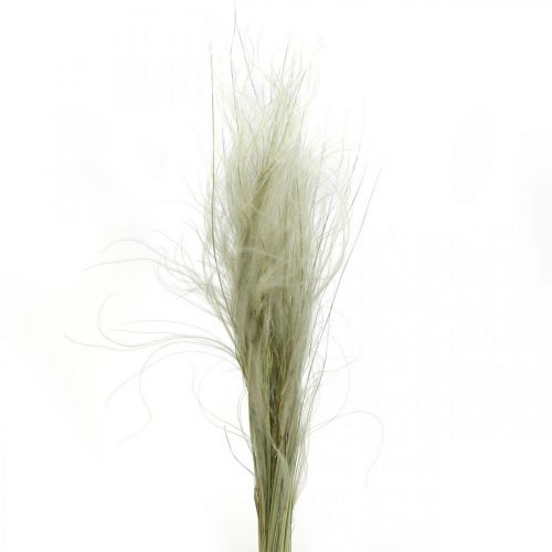 Artikel Tørrede blomster deco fjer græs tørt græs natur 50g