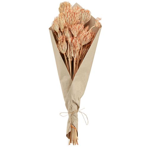 Artikel Tørrede blomster dekoration fennikel laks L50cm Ø4-5cm 100g