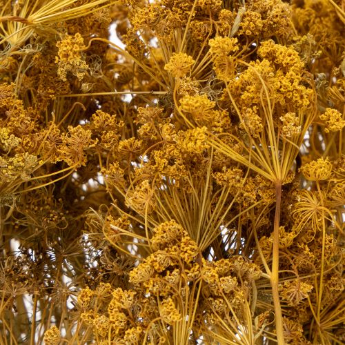 Artikel Tørret blomsterbuket med fine blomster til romantisk vintagedekoration 55 cm