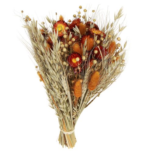 Artikel Tørrede blomster markblomster buket stråblomster orange L30cm