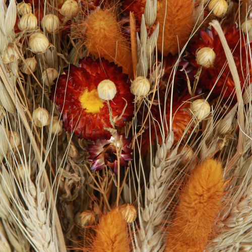 Artikel Tørrede blomster markblomster buket stråblomster orange L30cm