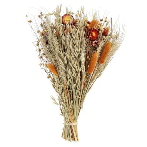 Artikel Tørrede blomster markblomster buket stråblomster orange L30cm