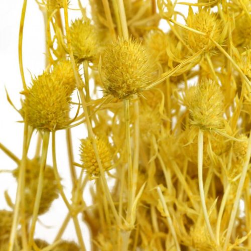 Artikel Tørrede blomster gul tørtidsel jordbærtidsel 100g