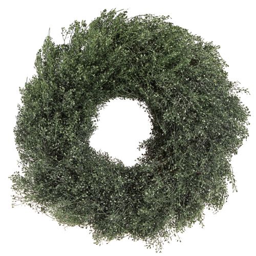 Artikel Tørret blomsterkrans grøn metallic lepidium dekoration Ø33cm