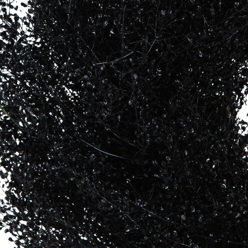 Artikel Tørret blomsterkrans sort metallic Lepidium Ø33cm