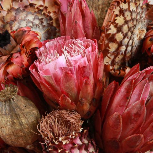 Artikel Tørrede blomsterblanding pink protea artiskokvalmue 38cm 580g