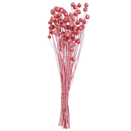 Artikel Tørrede blomster pink tørtidsel jordbærtidsel farvet 50cm 100g