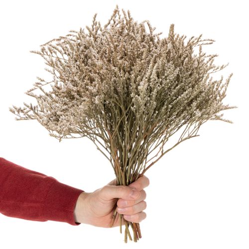 Tørrede blomster strand lavendel bundt Statice natur 1kg | Floristik24.dk
