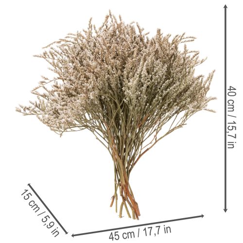 Tørrede blomster strand lavendel bundt Statice natur 1kg | Floristik24.dk