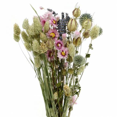 Floristik24 Vild græs buket med strå blomster tørre blomster 70g