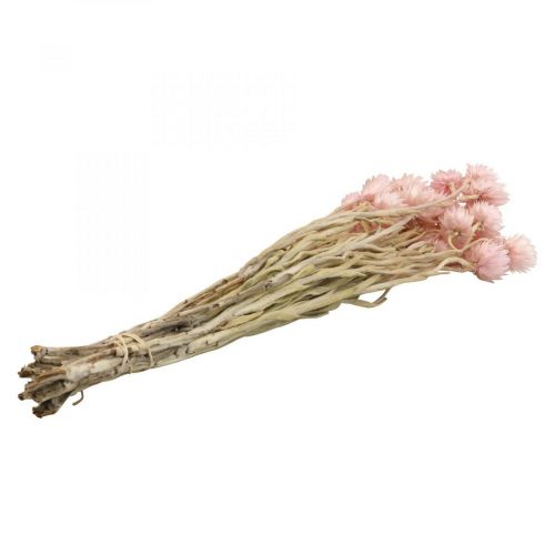 Artikel Tørrede blomster kasket blomster pink strå blomster H42cm