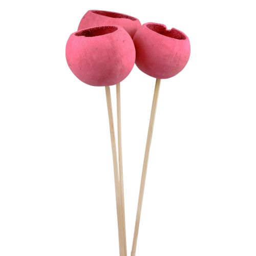 Floristik24 Tørrede blomster dekorative klokkekopper på stilk pink 42cm 3 stk