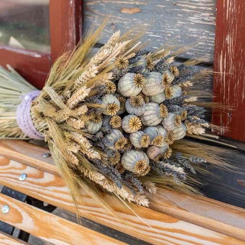 Floristik24 Tørrede valmuefrø kapsler naturlige tørrede blomster bundt deco valmue 90g