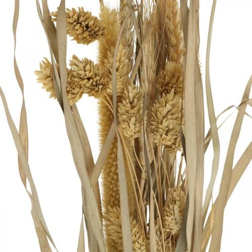Tørret græs og korn naturligt i en bundt tørret buket 48cm