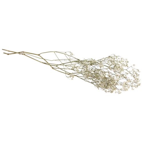 Floristik24 Tørrede blomster Gypsophila Gypsophila Hvid 58cm 7g