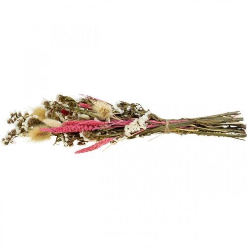 Floristik24 Tørret blomsterbuket halmblomster bukettidsel 40–45cm