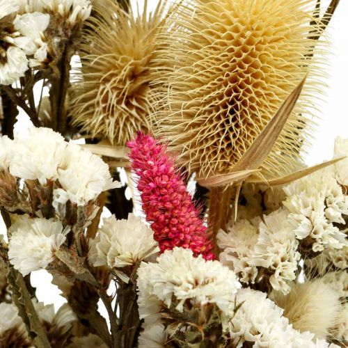 Floristik24 Tørret blomsterbuket halmblomster bukettidsel 40–45cm