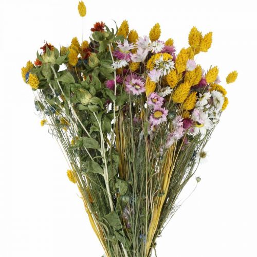 Artikel Blok tørrede blomster Blok tørrede blomster Engblomster buket 58cm