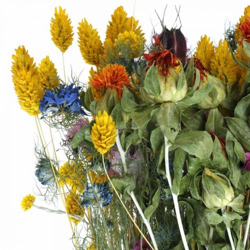 Artikel Blok tørrede blomster Blok tørrede blomster Engblomster buket 58cm