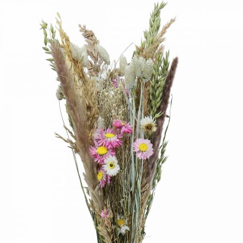 Floristik24 Buket tørrede blomster græs Phalaris halmblomster pink 60cm 110g