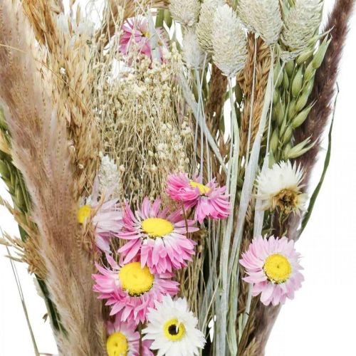 Floristik24 Buket tørrede blomster græs Phalaris halmblomster pink 60cm 110g