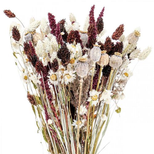 Floristik24 Buket tørrede blomster sommerdekoration tørrede blomster 58cm