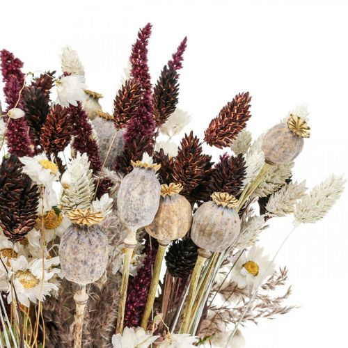 Floristik24 Buket tørrede blomster sommerdekoration tørrede blomster 58cm
