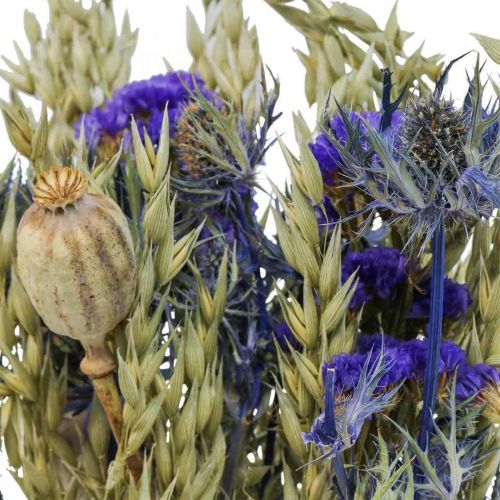 Floristik24 Buket tørrede blomster Buket engblomster blå H50cm 100g