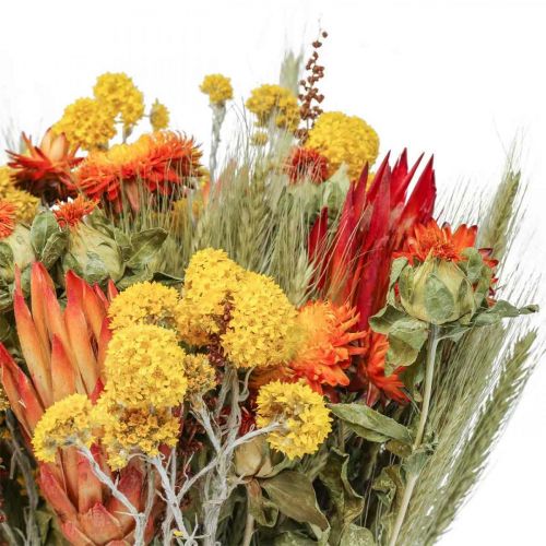 Floristik24 Tørret blomsterbuket buket af engblomster orange H50cm 300g