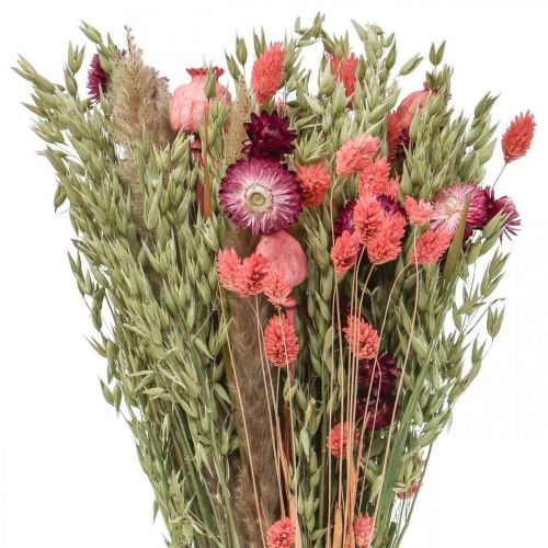 Floristik24 Buket tørrede blomster halm blomster korn valmue kapsel Phalaris siv 55cm