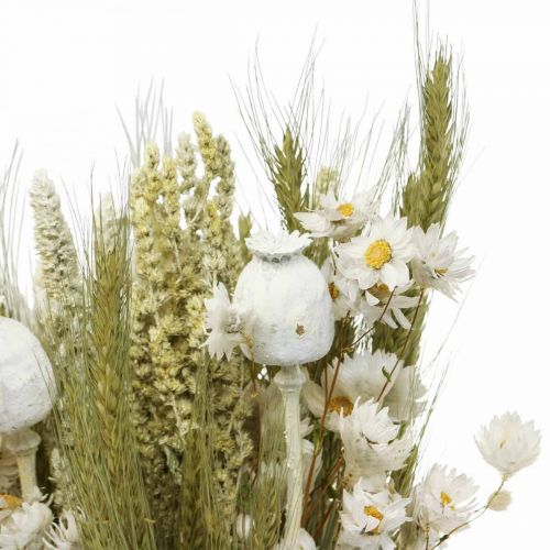 Floristik24 Buket tørrede blomster halm blomster korn valmue kapsel tørt græs 50cm