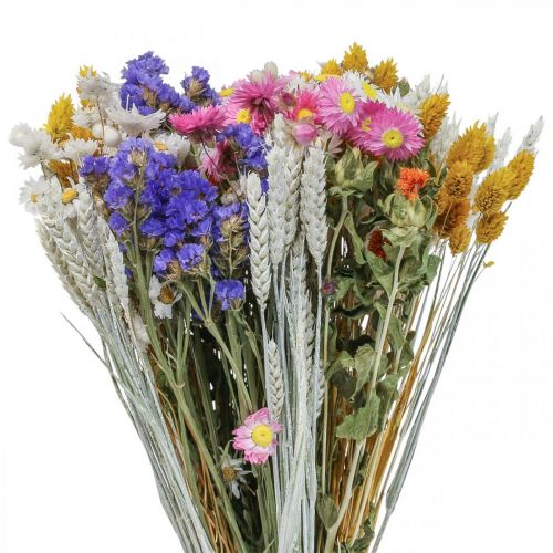 Tørret blomsterbuket stråblomster strand lavendel Phalaris korn 55cm