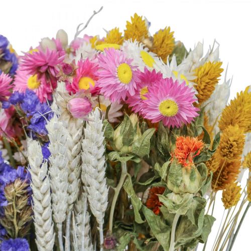 Floristik24 Tørret blomsterbuket stråblomster strand lavendel Phalaris korn 55cm