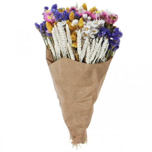 Floristik24 Tørret blomsterbuket stråblomster strand lavendel Phalaris korn 55cm