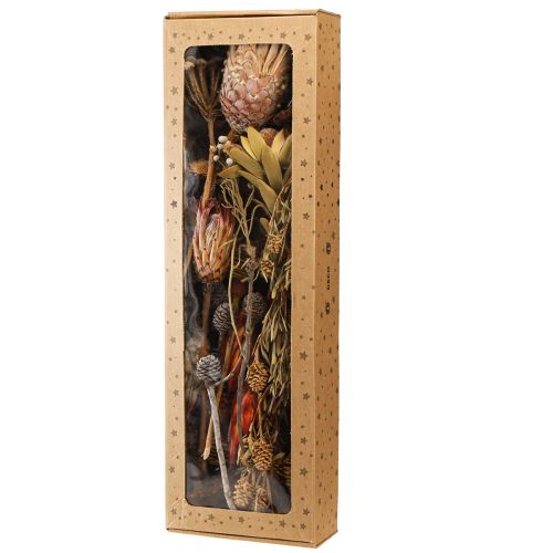 Artikel Tør dekoration eksotiske protea kegler Bellgum L24–48cm 580g
