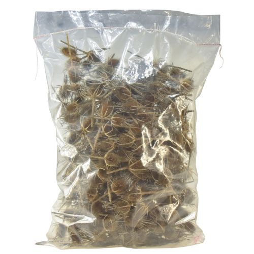 Artikel Tør dekoration kort tidsler wild card natur 1kg