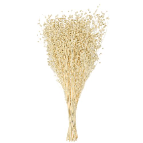 Artikel Tørret græshør tørret naturlig bleget 50-55 cm 180 g